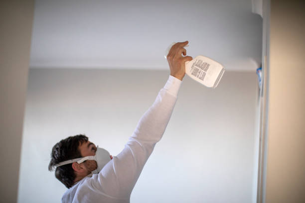 Best Emergency Mold Remediation in Kenedy, TX