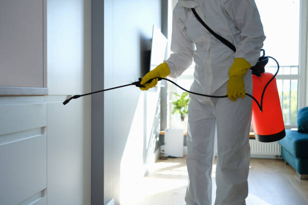 Best Crawl Space Mold Remediation in Kenedy, TX